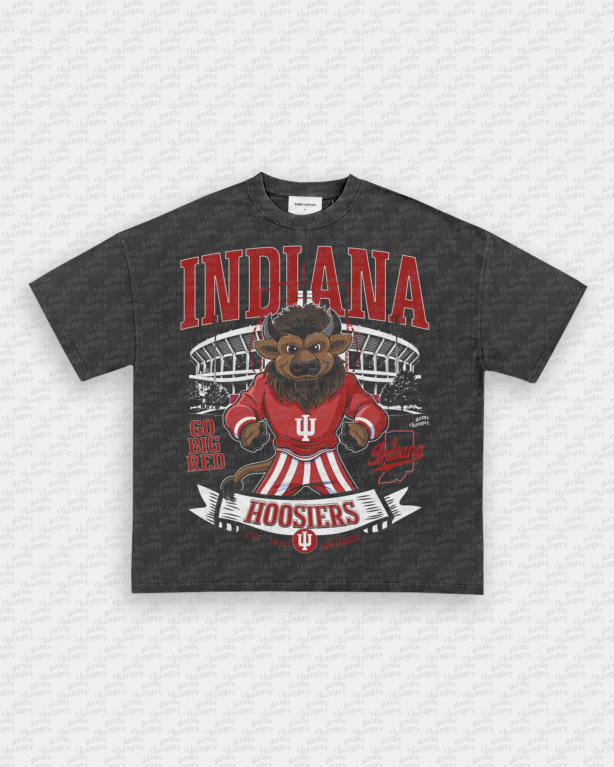 INDIANA FOOTBALL TEE